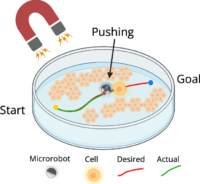 Figure 1 for Autonomous Vision-Based Magnetic Microrobotic Pushing of Micro-Objects and Cells