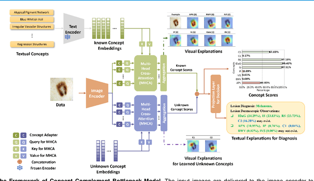 Figure 1 for Concept Complement Bottleneck Model for Interpretable Medical Image Diagnosis