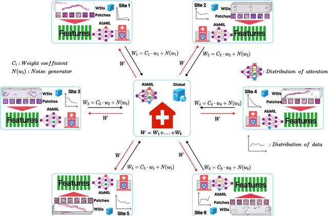 Figure 2 for Federated contrastive learning models for prostate cancer diagnosis and Gleason grading
