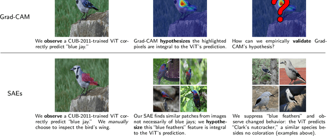 Figure 1 for Sparse Autoencoders for Scientifically Rigorous Interpretation of Vision Models