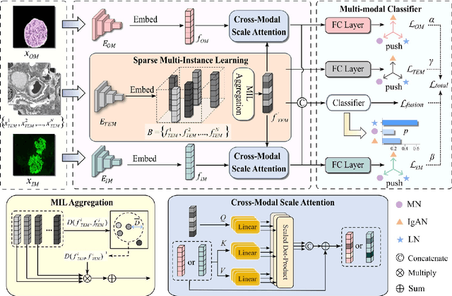Figure 3 for Cross-modal ultra-scale learning with tri-modalities of renal biopsy images for glomerular multi-disease auxiliary diagnosis