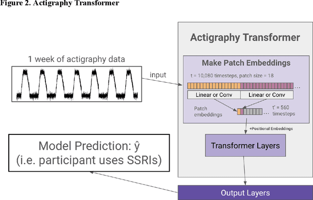 Figure 4 for Is Attention All You Need For Actigraphy? Foundation Models of Wearable Accelerometer Data for Mental Health Research