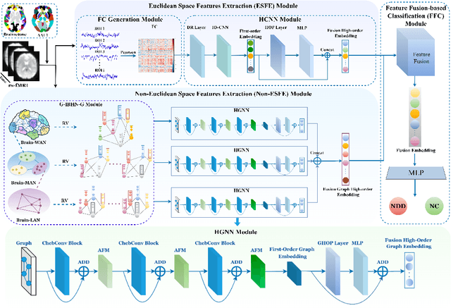 Figure 1 for MHNet: Multi-view High-order Network for Diagnosing Neurodevelopmental Disorders Using Resting-state fMRI