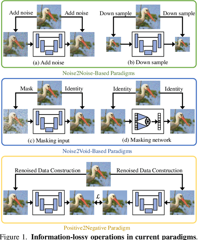 Figure 1 for Positive2Negative: Breaking the Information-Lossy Barrier in Self-Supervised Single Image Denoising