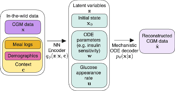 Figure 1 for Interpretable Mechanistic Representations for Meal-level Glycemic Control in the Wild