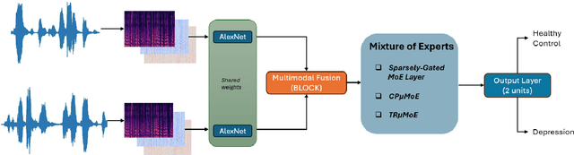 Figure 1 for Mixture of Experts for Recognizing Depression from Interview and Reading Tasks