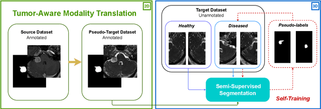 Figure 1 for Image-level supervision and self-training for transformer-based cross-modality tumor segmentation