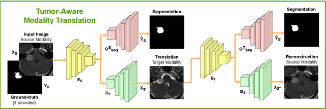 Figure 3 for Image-level supervision and self-training for transformer-based cross-modality tumor segmentation