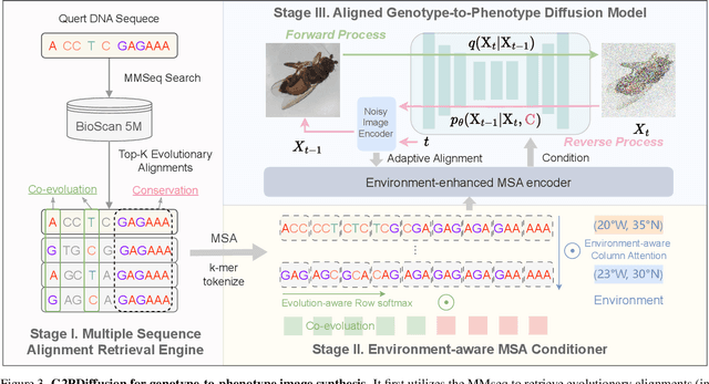 Figure 3 for G2PDiffusion: Genotype-to-Phenotype Prediction with Diffusion Models