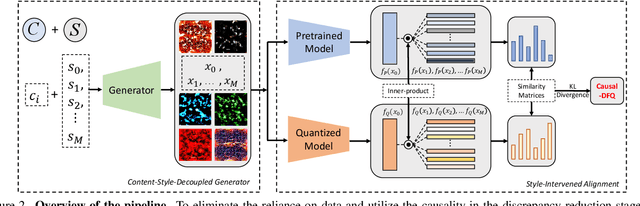 Figure 2 for Causal-DFQ: Causality Guided Data-free Network Quantization