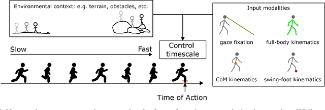 Figure 1 for Nonlinear action prediction models reveal multi-timescale locomotor control