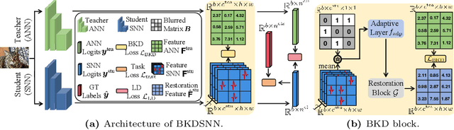 Figure 1 for BKDSNN: Enhancing the Performance of Learning-based Spiking Neural Networks Training with Blurred Knowledge Distillation