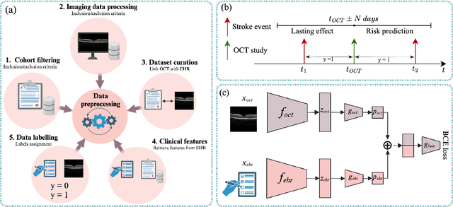 Figure 1 for Multimodal Deep Learning for Stroke Prediction and Detection using Retinal Imaging and Clinical Data