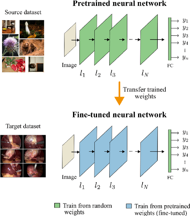 Figure 1 for Comparison of fine-tuning strategies for transfer learning in medical image classification