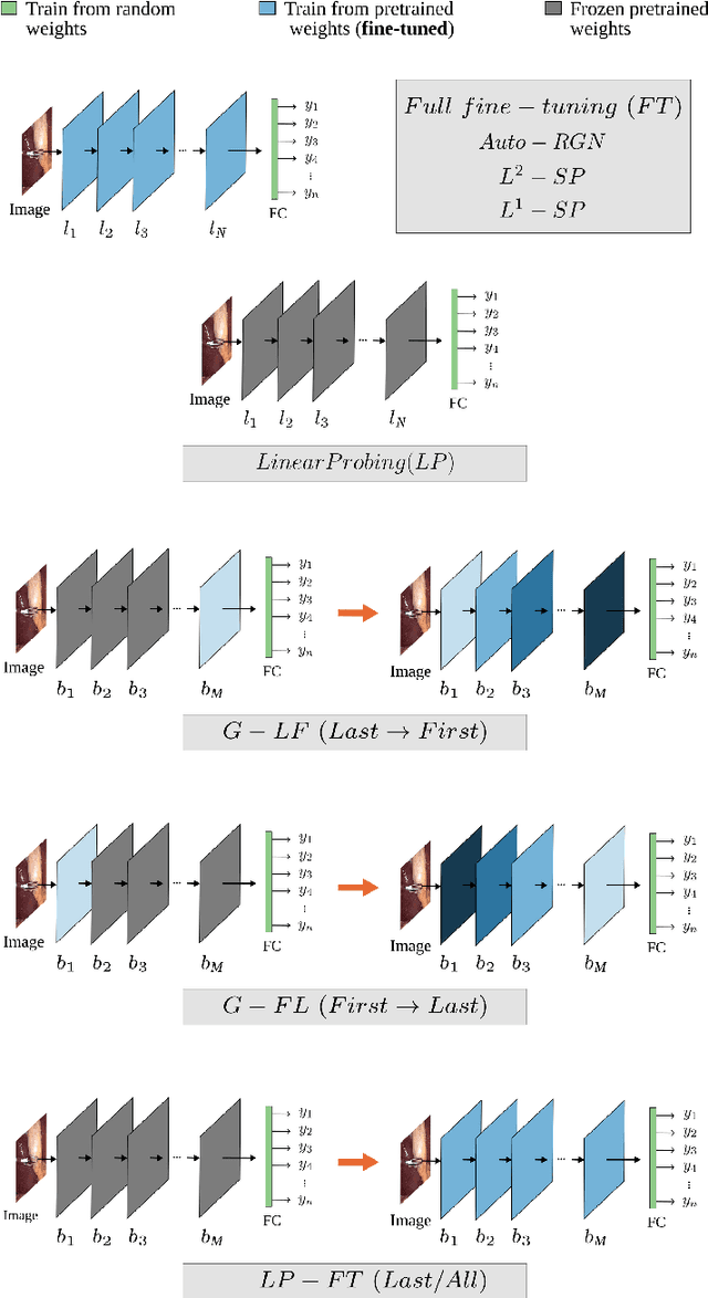 Figure 3 for Comparison of fine-tuning strategies for transfer learning in medical image classification