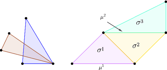 Figure 1 for Explainability in Simplicial Map Neural Networks