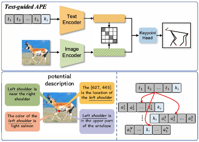 Figure 1 for Probabilistic Prompt Distribution Learning for Animal Pose Estimation
