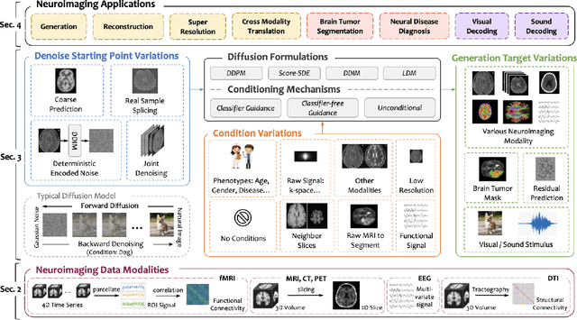 Figure 1 for Diffusion Models for Computational Neuroimaging: A Survey