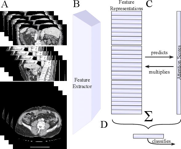 Figure 1 for Explainable 2D Vision Models for 3D Medical Data