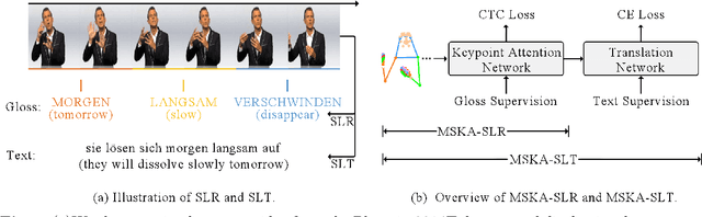 Figure 1 for Multi-Stream Keypoint Attention Network for Sign Language Recognition and Translation
