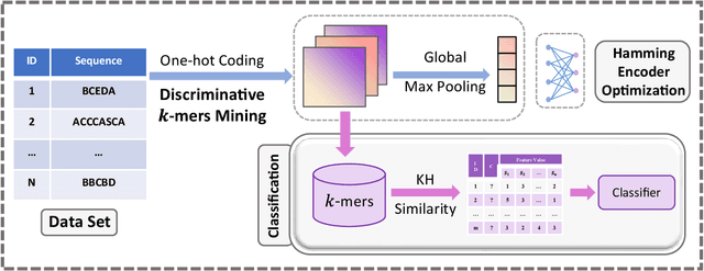Figure 1 for Hamming Encoder: Mining Discriminative k-mers for Discrete Sequence Classification