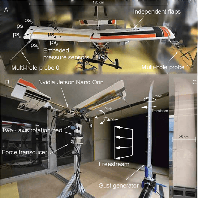 Figure 2 for A Narwhal-Inspired Sensing-to-Control Framework for Small Fixed-Wing Aircraft