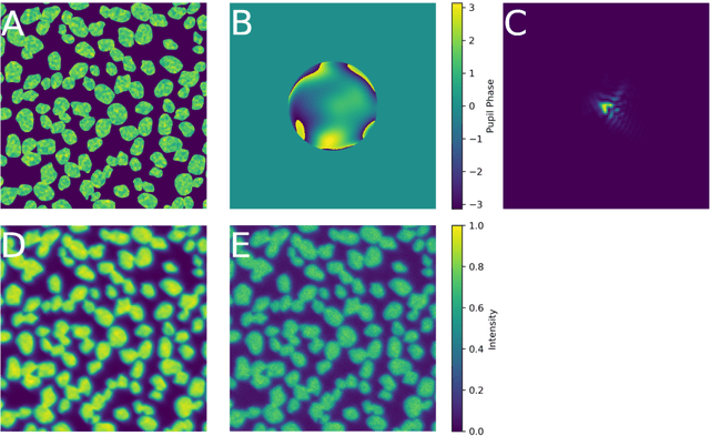 Figure 1 for Phase Diverse Phase Retrieval for Microscopy: Comparison of Gaussian and Poisson Approaches