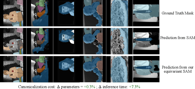 Figure 1 for Equivariant Adaptation of Large Pre-Trained Models