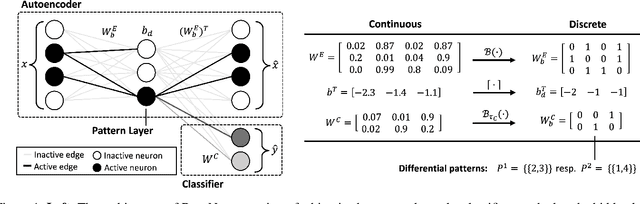 Figure 1 for Finding Interpretable Class-Specific Patterns through Efficient Neural Search