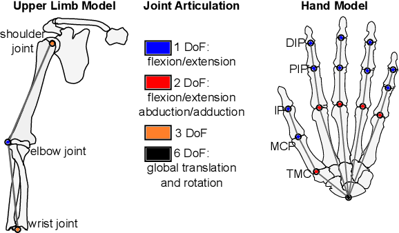 Figure 3 for Motion Analysis of Upper Limb and Hand in a Haptic Rotation Task