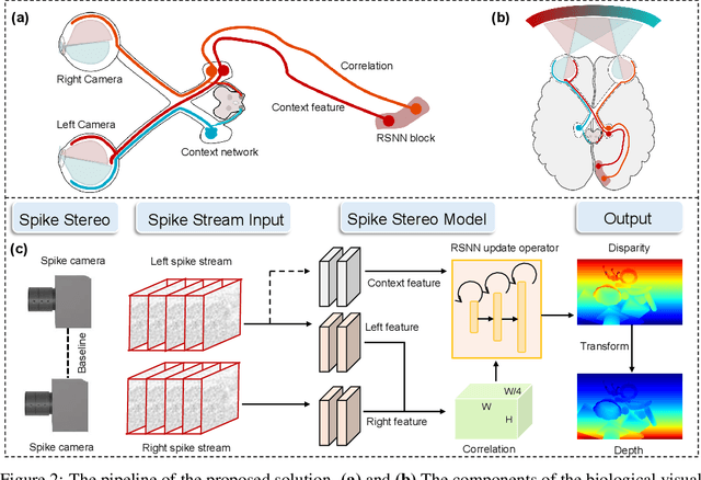 Figure 3 for SpikeStereoNet: A Brain-Inspired Framework for Stereo Depth Estimation from Spike Streams