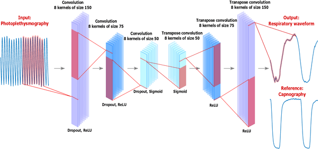 Figure 1 for Rapid Extraction of Respiratory Waveforms from Photoplethysmography: A Deep Encoder Approach