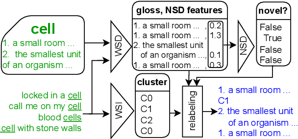 Figure 3 for Deep-change at AXOLOTL-24: Orchestrating WSD and WSI Models for Semantic Change Modeling