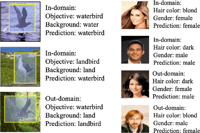 Figure 3 for Confounder Balancing in Adversarial Domain Adaptation for Pre-Trained Large Models Fine-Tuning