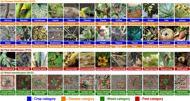Figure 2 for AgroBench: Vision-Language Model Benchmark in Agriculture