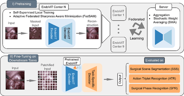 Figure 1 for Federated EndoViT: Pretraining Vision Transformers via Federated Learning on Endoscopic Image Collections