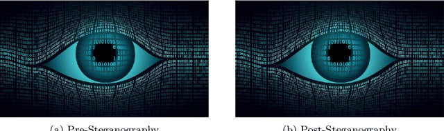 Figure 3 for Secure Information Embedding in Images with Hybrid Firefly Algorithm