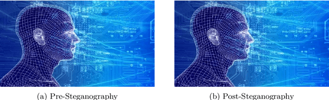 Figure 4 for Secure Information Embedding in Images with Hybrid Firefly Algorithm