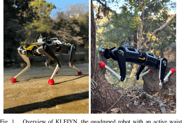 Figure 1 for KLEIYN : A Quadruped Robot with an Active Waist for Both Locomotion and Wall Climbing