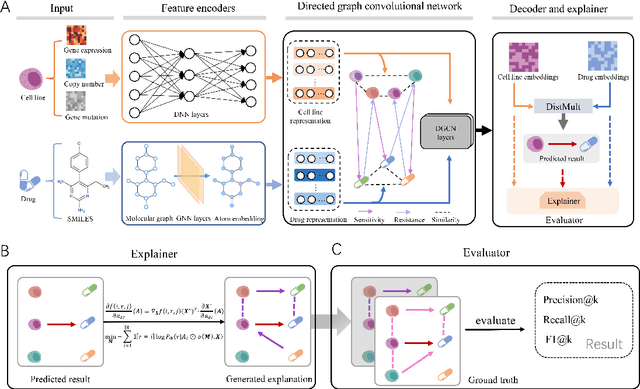 Figure 1 for DRExplainer: Quantifiable Interpretability in Drug Response Prediction with Directed Graph Convolutional Network
