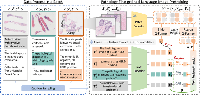 Figure 3 for PathFLIP: Fine-grained Language-Image Pretraining for Versatile Computational Pathology