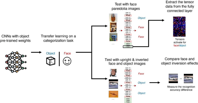 Figure 1 for Face processing emerges from object-trained convolutional neural networks