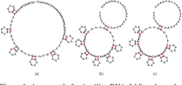 Figure 1 for OmniGenome: Aligning RNA Sequences with Secondary Structures in Genomic Foundation Models