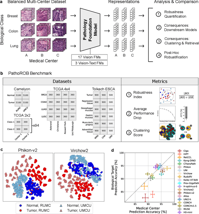 Figure 1 for Towards Robust Foundation Models for Digital Pathology