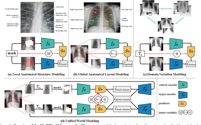 Figure 1 for CheXWorld: Exploring Image World Modeling for Radiograph Representation Learning