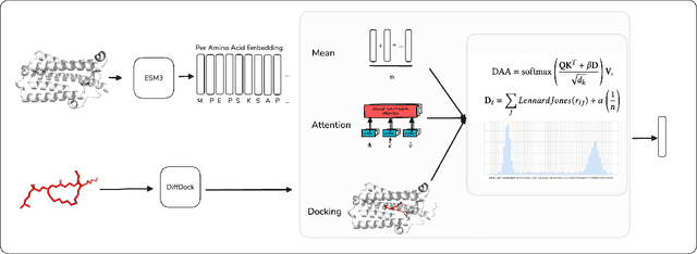 Figure 1 for Docking-Aware Attention: Dynamic Protein Representations through Molecular Context Integration