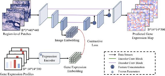 Figure 3 for Img2ST-Net: Efficient High-Resolution Spatial Omics Prediction from Whole Slide Histology Images via Fully Convolutional Image-to-Image Learning