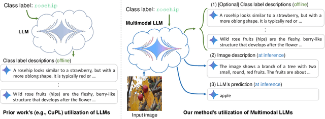 Figure 1 for What Do You See? Enhancing Zero-Shot Image Classification with Multimodal Large Language Models