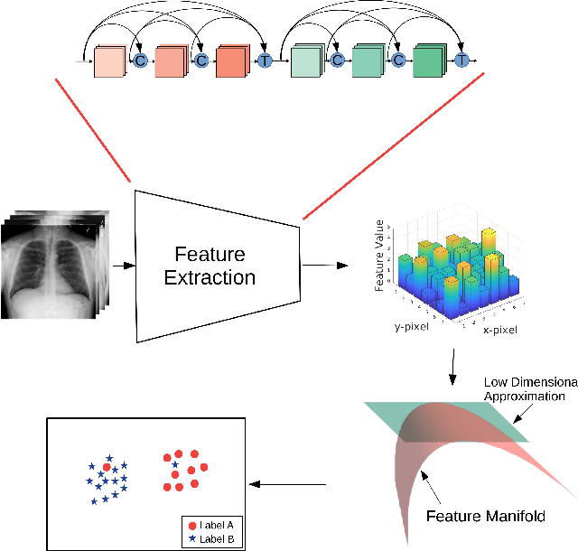 Figure 1 for Outlier Detection in Large Radiological Datasets using UMAP