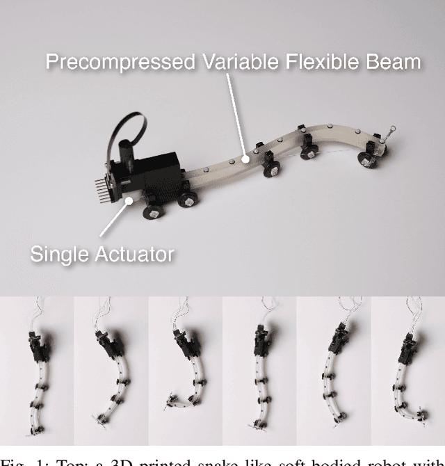 Figure 1 for Single Actuator Undulation Soft-bodied Robots Using A Precompressed Variable Thickness Flexible Beam